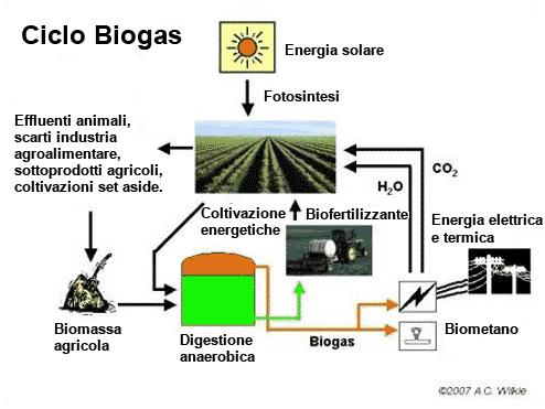 Analisi tecnica impianti a biogas 1.