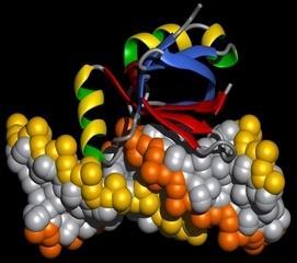 2 Le sostanze organiche e inorganiche dei viventi Gli esseri viventi utilizzano moltissime sostanze per mantenersi in vita Troviamo sostanze