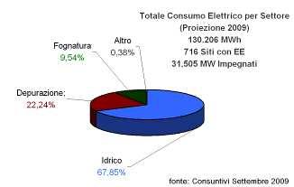 55%) Modalità di acquisizione delle letture (energia elettrica): acquisizione diretta costi/consumi per singolo impianto dai flussi di fatturazione dei traders