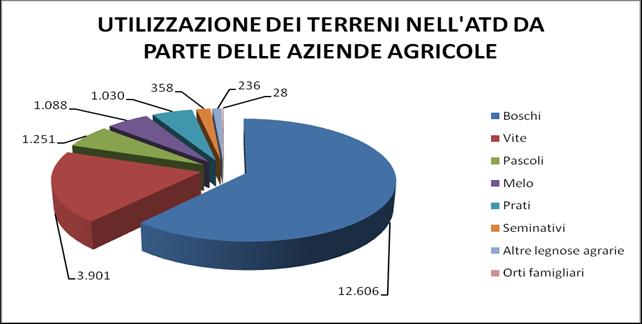 UTILIZZAZIONE DEI TERRENI NELL ATD DA PARTE DELLE AZIENDE AGRICOLE (ettari) AMBITO Semi- Vite Melo Altre Orti Prati Pascoli S.A.U. Boschi nativi legnose agrarie famigliari Valle di Cembra 17 776 120 70 10 261 161 1.