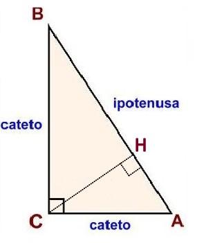 I due lati perpendicolari si dicono cateti e il lato opposto si chiama ipotenusa.