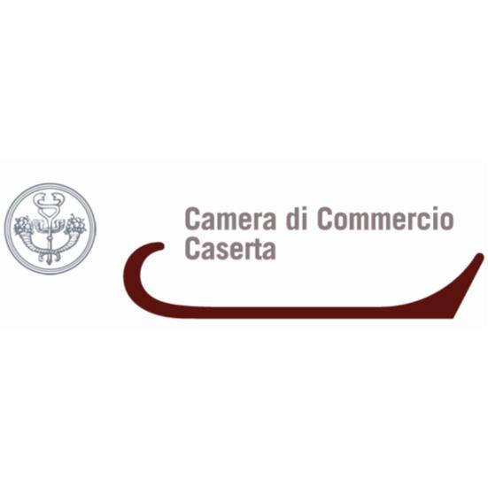 Camera di Commercio Industria Artigianato e Agricoltura di CASERTA Registro Imprese - VISURA DI EVASIONE MADEX SOCIETA' A RESPONSABILITA' LIMITATA DATI ANAGRAFICI Indirizzo Sede legale SESSA AURUNCA