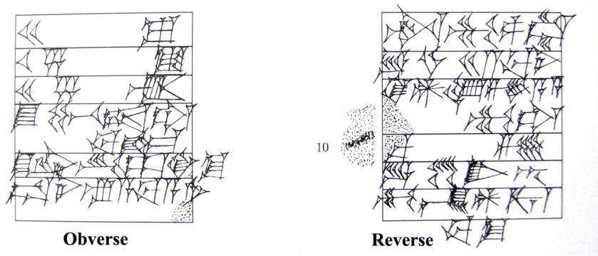 Paolo Brusasco Figura 2. Text 56, OIM A4286 (49 x 43 x 16 mm) (da Hilgert 2003, Plate 8).