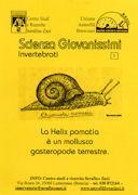 Pagina 01 CHIOCCIOLA POMATIA La Helix pomatia è un mollusco gasteropode terrestre.