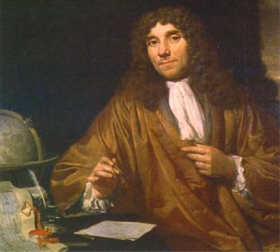 Anton van Leeuwenhoek (1632-1723) - First to see the