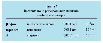 Unità di misura in Biologia Cellulare Le cellule si misurano in MICROMETRI ( simbolo μm ) cioè un millesimo di millimetro, quindi sono visibili solo al microscopio.