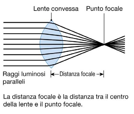 LA LENTE CONCAVA FA DIVERGERE I RAGGI LUMINOSI LA LENTE