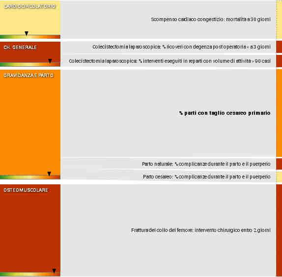 Ospedale di Stradella (le percentuali tra parentesi indicano il peso degli indicatori misurati sul totale dell attività dell area clinica)