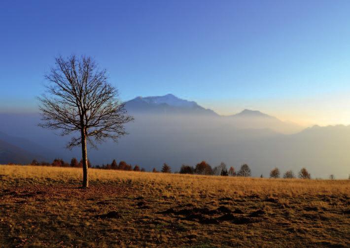 NOVEMBRE Tutti i nti Commemoraz. Defunti S. Silvia S. Carlo Borromeo S. Zaccaria prof. S. Leonardo abate S. Ernesto abate S. Goffredo vescovo S. Oreste S. Leone gno S. rtino di Tours S. Renato, S.