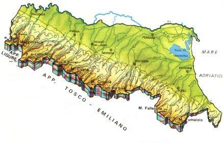 PIACENZA 269 PARMA 251 Campo di indagine: Scuole elementari FERRARA REGGIO EMILIA 239 274 MODENA 260