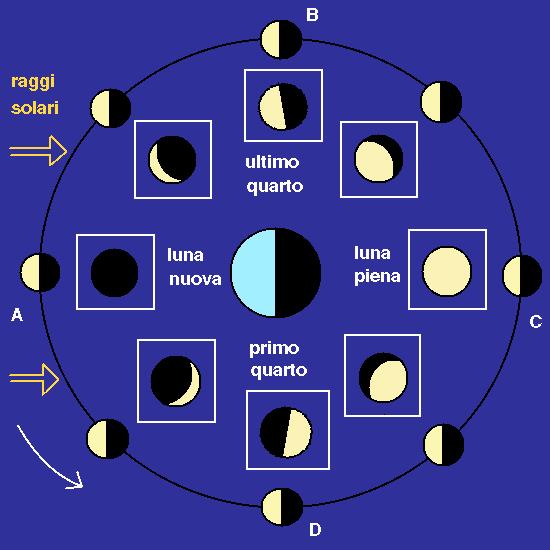 Le fasi lunari Come abbiamo detto, la Luna, oltre a ruotare intorno alla Terra, si muove con essa intorno al Sole (traslazione).