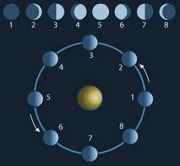 LE FASI LUNARI Il mese sinodico può essere diviso in 4 fasi lunari in base alle diverse condizioni di illuminazione della faccia che la Luna rivolge verso la Terra: -.
