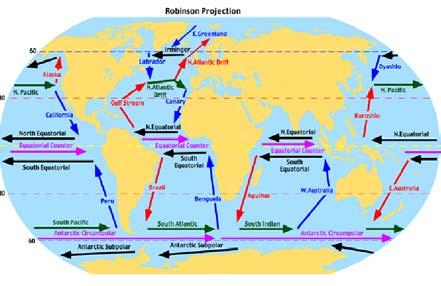 meno densa (e quindi più leggera). Su grande scala queste correnti sono soggette agli effetti della forza di Coriolis. http://www.ifremer.