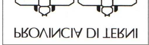 P R O V I N C I A D I T E R N I Cod. Fisc. / Part. I.V.A. 00179350558 viale della Stazione,1 05100 TERNI fax 0744/483270 Settore Abiente-Viabilità-LL.