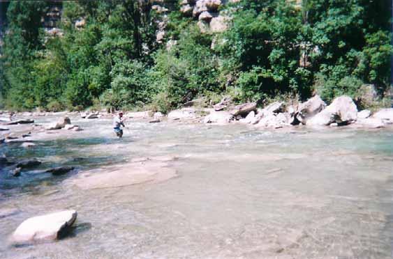 Torrente Santerno: particolare