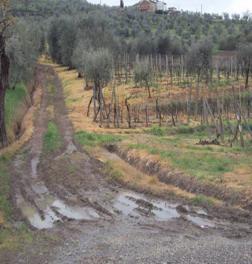 per la salute umana contaminazione delle acque superficiali e sotterranee sostanze rilevate nelle acque italiane:118 Acque