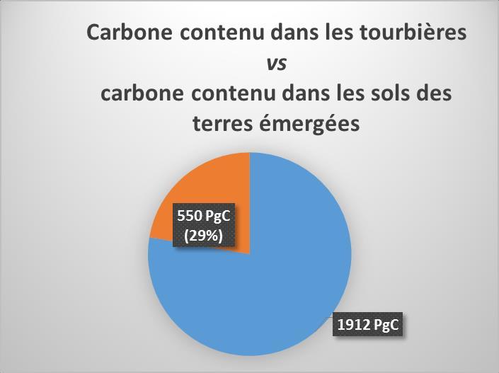 torbiere