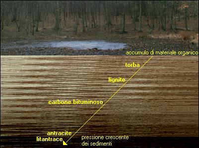 Il processo di formazione della torba rappresenta