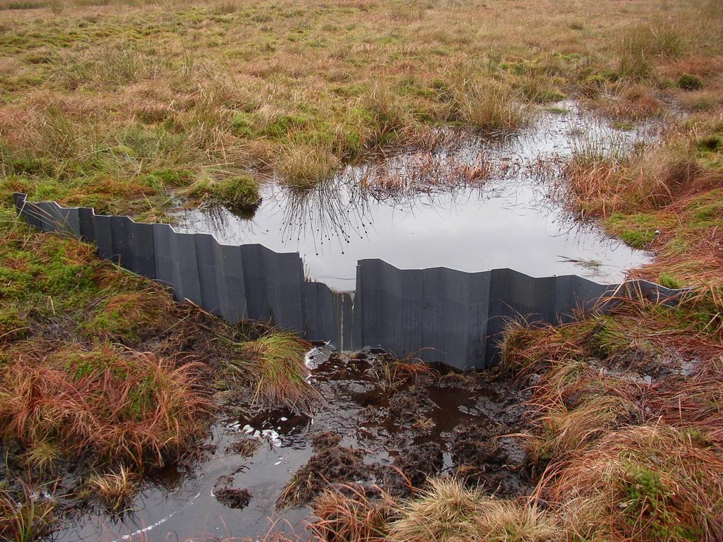 empêchent le drainage de l'eau et