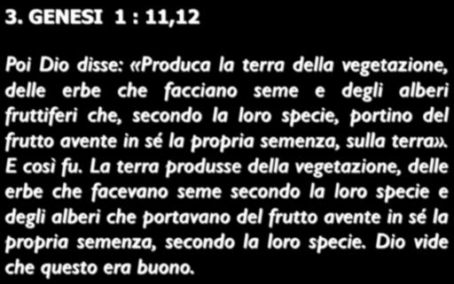 3. GENESI 1 : 11,12 Poi Dio disse: «Produca la terra della vegetazione, delle erbe che facciano seme e degli alberi fruttiferi che, secondo la loro specie, portino del frutto avente in sé la propria