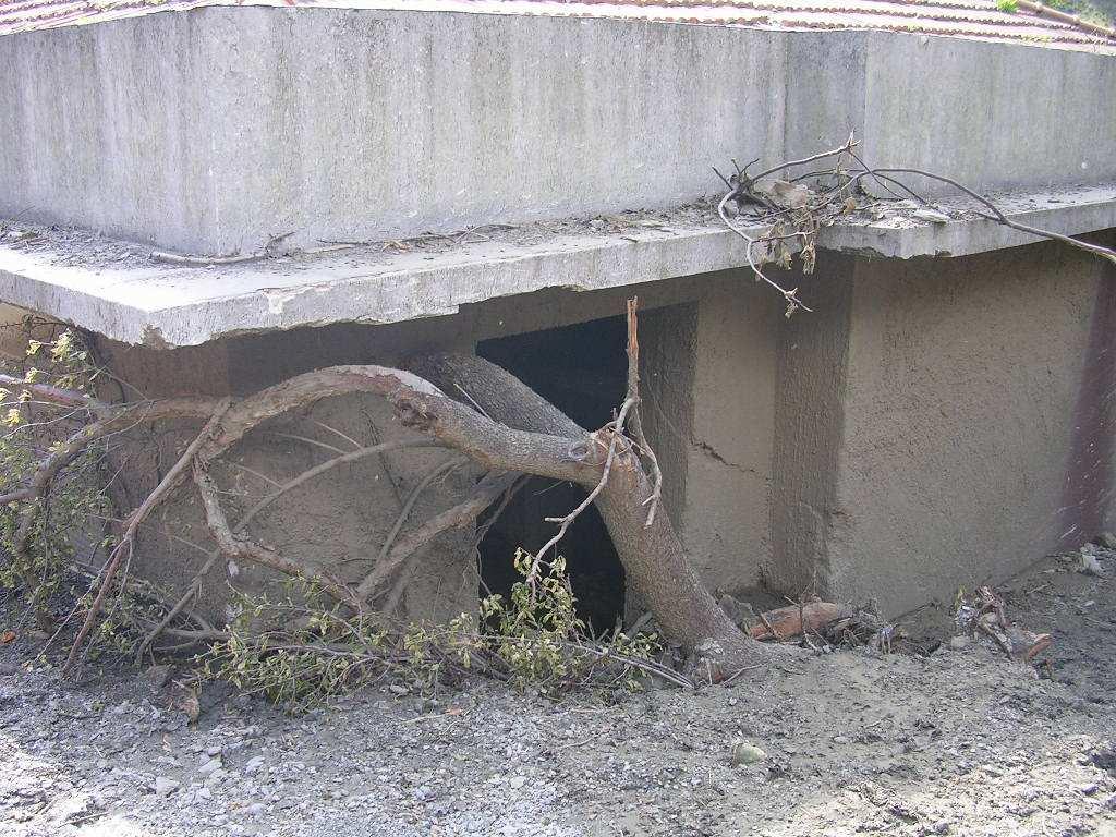 ambienti interni nonché nelle opere accessorie esterne del fabbricato.