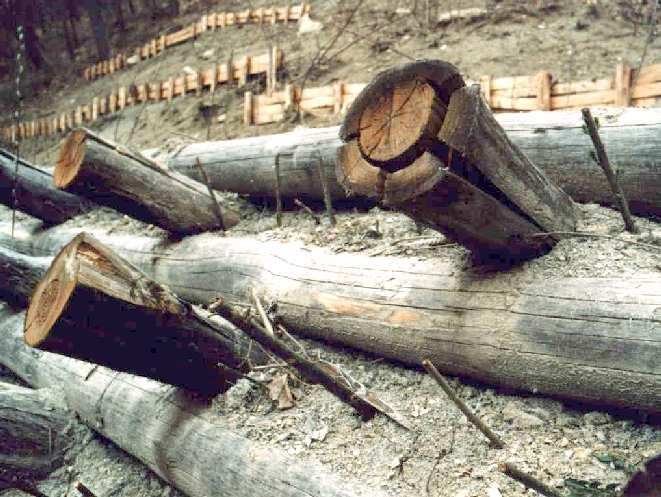 L utilizzo di tali opere ha permesso di riportare in sicurezza versanti colpiti da fenomeni di instabilità tramite l utilizzo di materiali naturali quali il legno e la