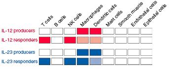 immunity. Nat. Rev Immunol, 3, 133146. Langrish C.L., et al.