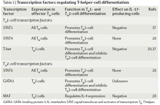 Diversification of T-helper-cell