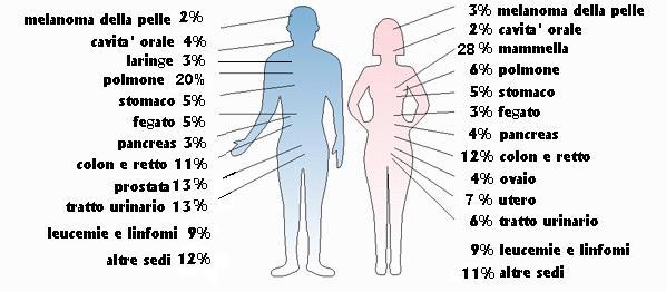Incidenza tumori Incidenza dei tumori nel Veneto 1995-'96 circa 13,000 casi/anno MASCHI - circa 11,000