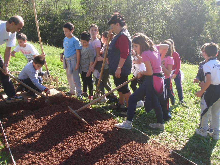 24 ottobre: la semina del