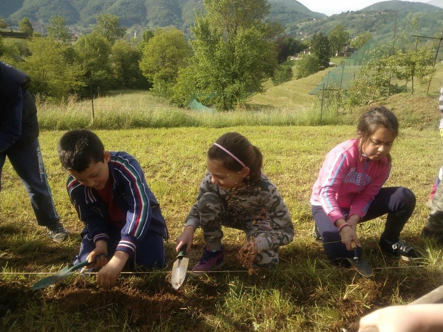 Questo lavoro è stato faticoso ma a noi è