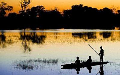 Queste sono solamente alcune delle peculiarità che hanno eletto il Mokoro come uno dei simboli dell Okavango; piccola imbarcazione simile a una canoa, condotta da una guida esperta che, mediante un