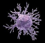 4 Immuno-oncologia, la nuova arma per combattere i tumori sospetto.