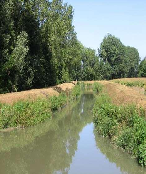 Manutenzione attenta alle valenze ambientali NUOVI PIANI DI GESTIONE Selezione dei corsi d acqua