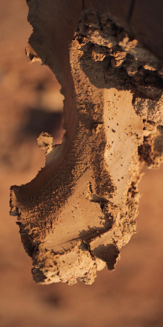 Ardiamo di passione per le nostre tegole in argilla. Passione ERLUS ceramica per tetti la perfezione della terra cotta La tegola in argilla è legata in modo indissolubile alla sua lunga tradizione.