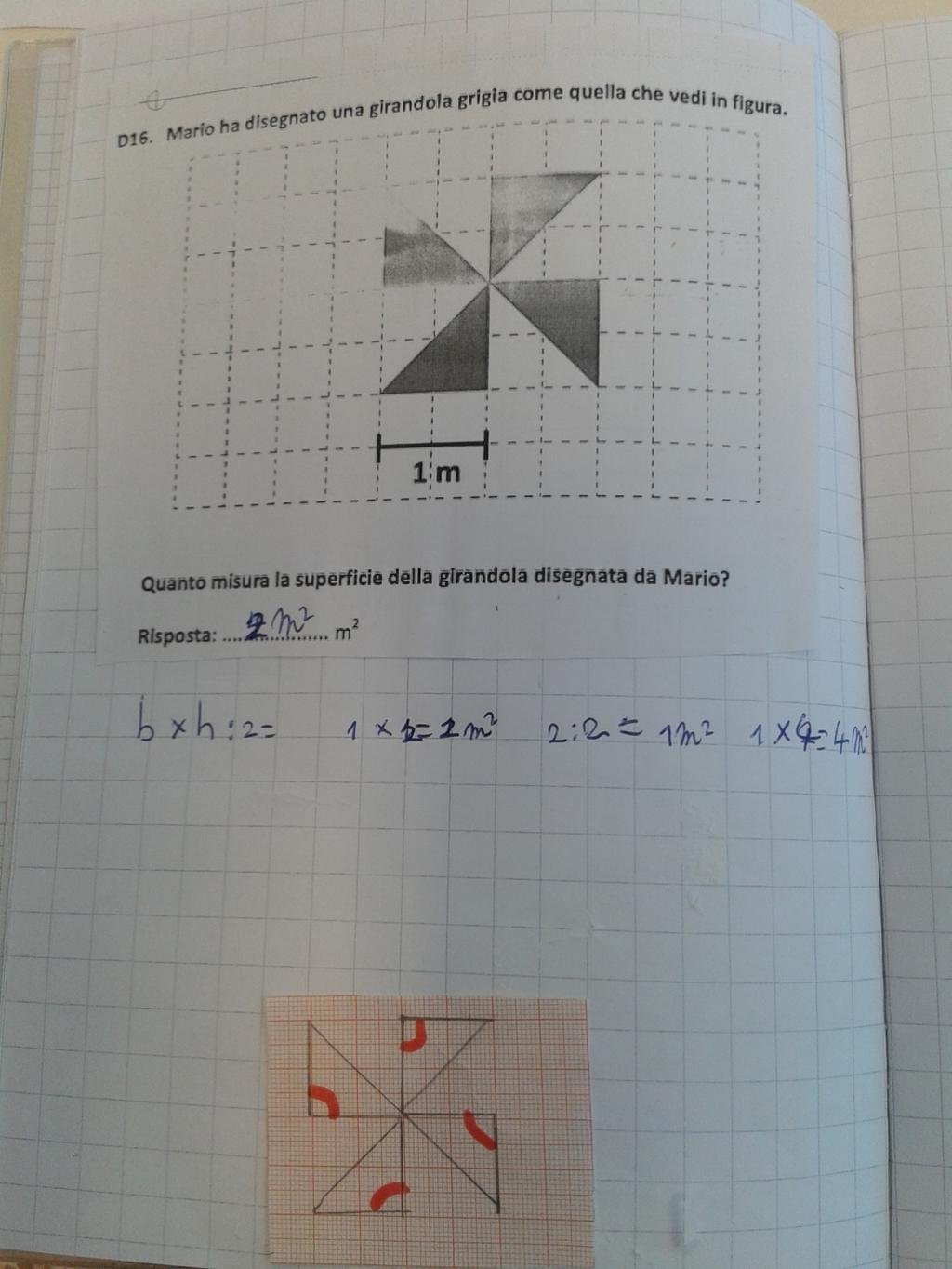 Con la carta millimetrata è stata riprodotta la Ligura, sono stati osservati gli