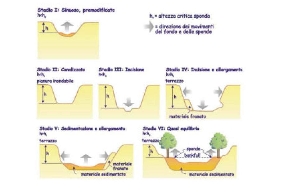Figura 3 Modello concettuale di evoluzione di alvei fluviali (CEM: Channel Evolution Model) (SIMON, 1989 e RINALDI e SURIAN, 2005) 1.