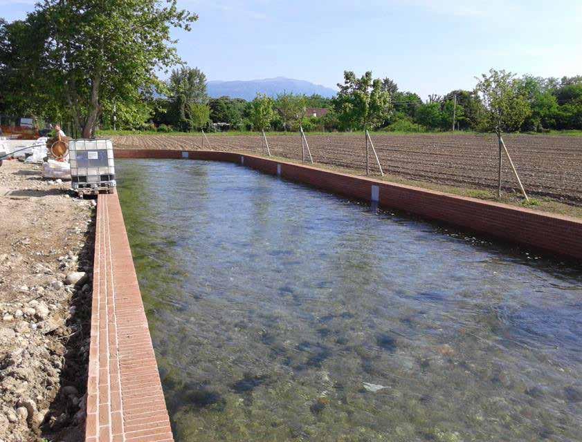 INDICE l acqua scarseggia Le modeste piogge di lunedì notte, pari a pochi