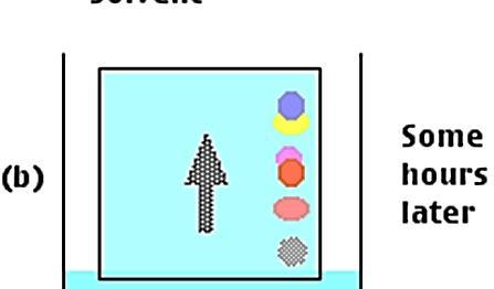 Cromatografia: cromatografia planare Cromatografia bidimensionale su