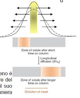 Cromatografia: HPLC Diffusione molecolare longitudinale Mentre l'analita si trova nella fase mobile, esso diffonde spontaneamente dalle zone a maggiore concentrazione (al centro della banda