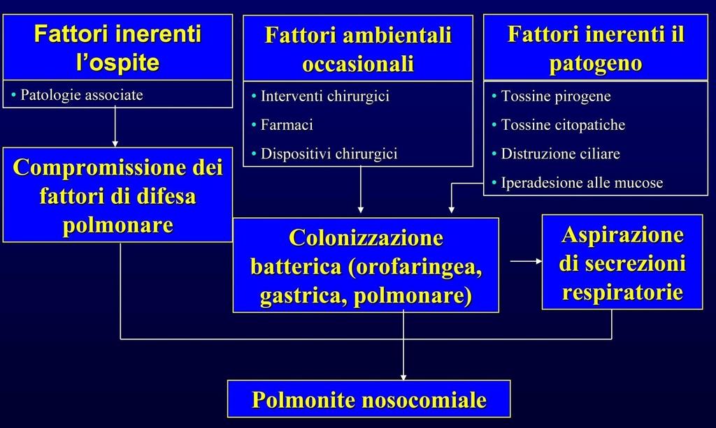 Patogenesi la