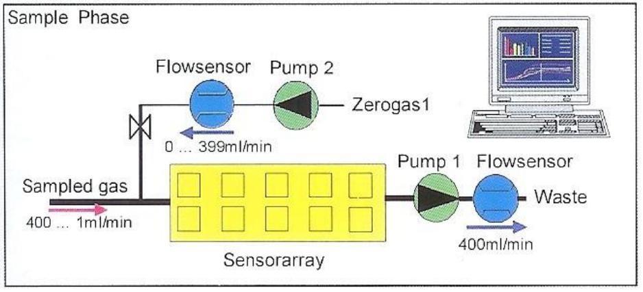 «MISURA» DEGLI ODORI Misura «Senso-Strumentale» degli ODORI NASO ELETTRONICO Uno strumento che comprende una combinazione di sensori elettronici chimici con una