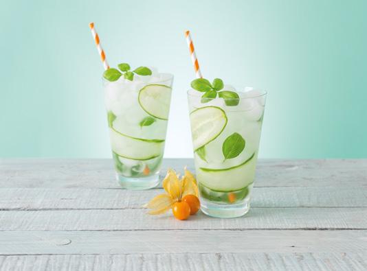 GIN BASIL SMASH INGREDIENTI PER UN DRINK 6 cl di gin 6-8 foglie di basilico 2 cl di succo di limone 2 cl di sciroppo di zucchero di canna Una fetta di cetriolo tagliata per la lunga Schiacciare le