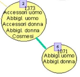 Linee di collegamento Una linea che collega due ovali rappresenta una relazione fra gli stessi i clienti facenti parte dei due gruppi