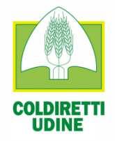 Entrata in vigore Le disposizioni sono applicabili ai contratti stipulati, a decorrere dal 24.10.2012, che hanno ad oggetto la cessione di prodotti agricoli e/o alimentari.