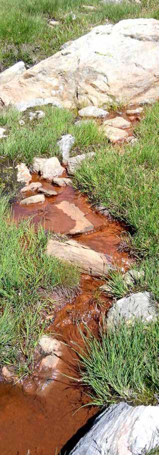 Energia e vitalità emergono in Val di Rabbi in ogni angolo verde. La natura è rigogliosa e padrona incontrastata dei ritmi e dei riti delle genti.