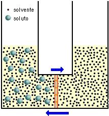 ressone osmotca Osmos : passaggo spontaneo d un solvente puro verso una sua soluzone, separata da una membrana sempermeable (permette l passaggo del solvente ma