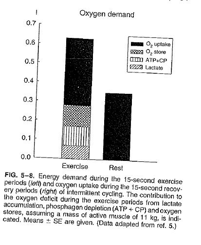 Richiesta metabolica Richiesta metabolica durante 15s esercizio (sn) e VO2 in 15s di recupero (dx).