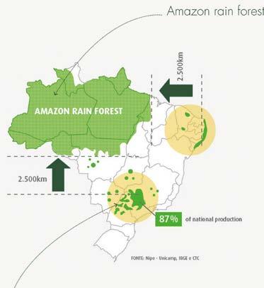 Le materie prime vegetali fanno la differenza La nuova schiuma NMC Naturefoam viene prodotta prevalentemente da polietilene a base di canna da zucchero.