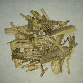 biomassa modello Fusto Arundo Donax (A.